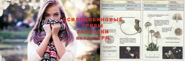 дурь Алексин