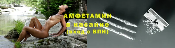 крисы Алзамай