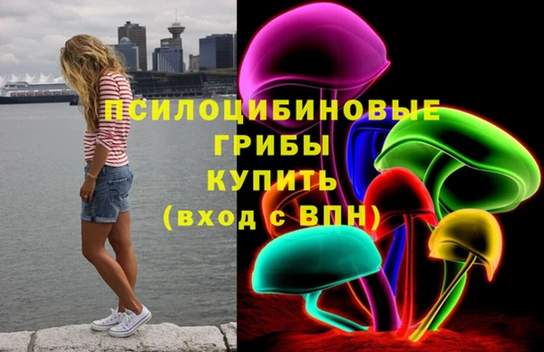 дурь Алексин