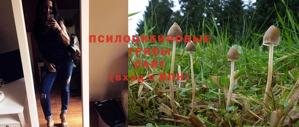 крисы Алзамай
