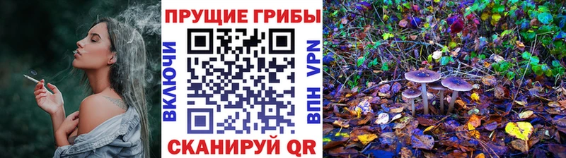 купить   Дыгулыбгей  Псилоцибиновые грибы ЛСД 